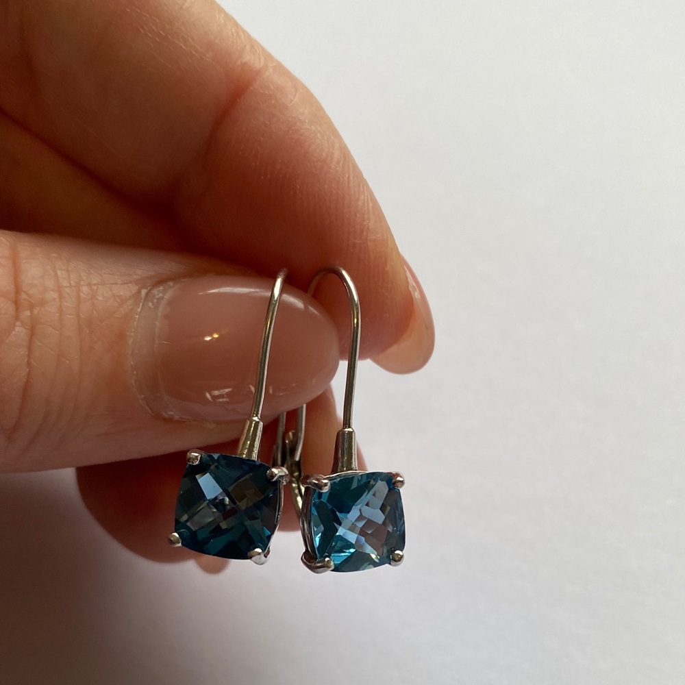 Vintage Blue and Sterling Silver Earrings
